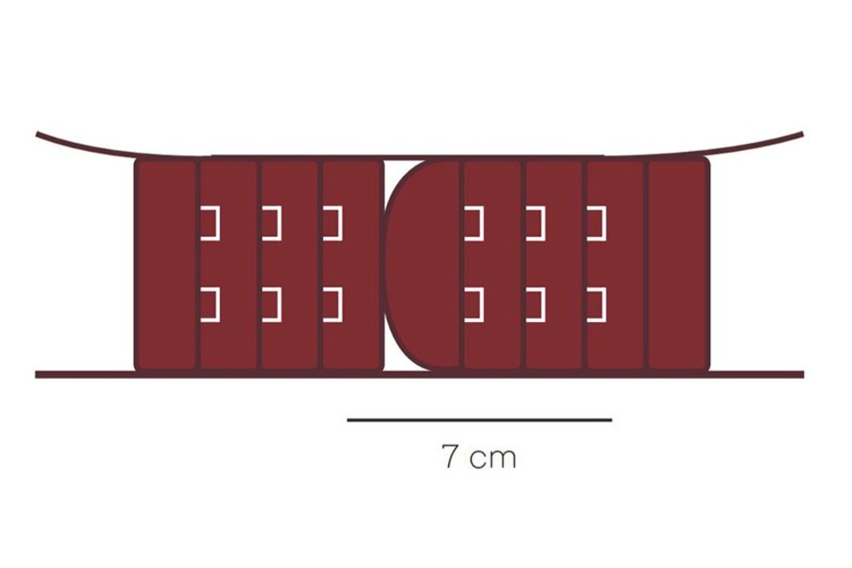 Extensores